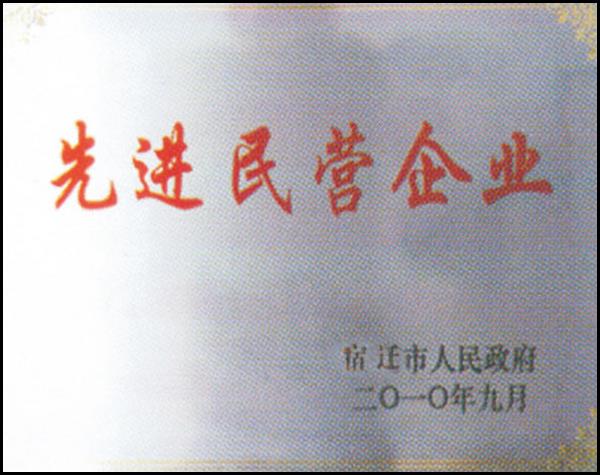 先進(jìn)民營企業(yè)